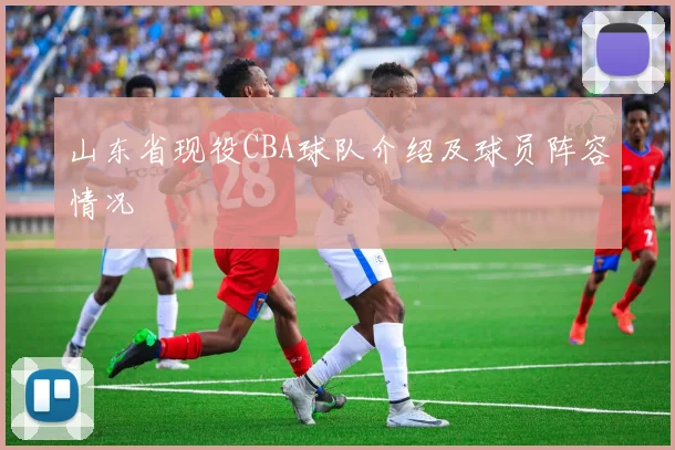 山东省现役CBA球队介绍及球员阵容情况