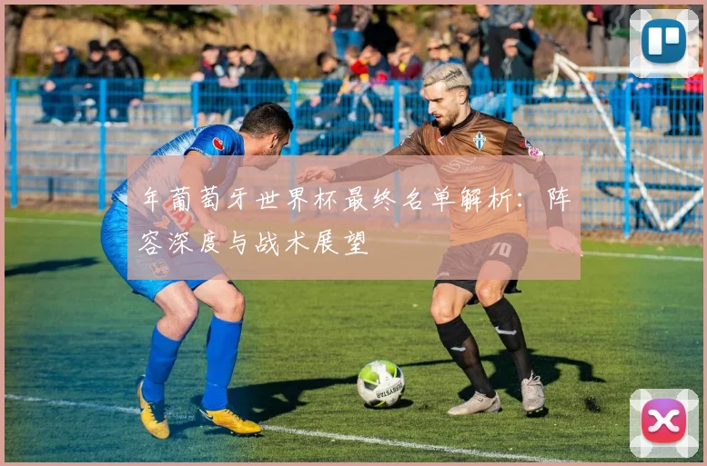 年葡萄牙世界杯最终名单解析：阵容深度与战术展望
