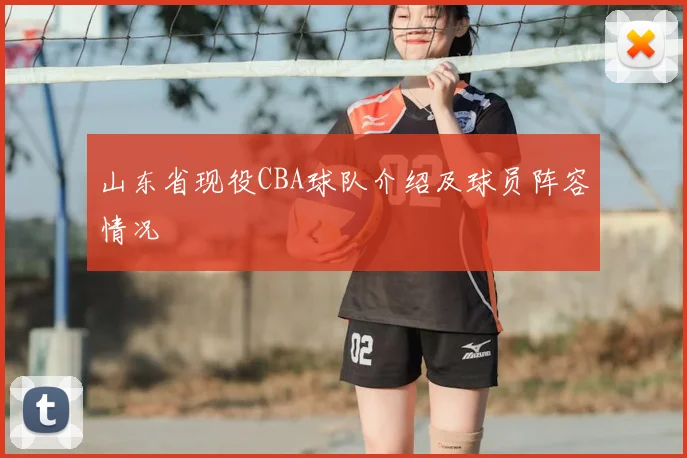 山东省现役CBA球队介绍及球员阵容情况